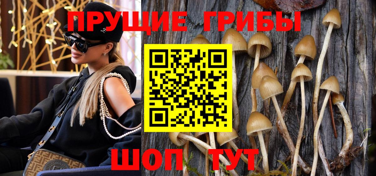 Псилоцибиновые грибы Cubensis  Галлюциногенные грибы Psilocybe  Волжск  Вход с VPN 